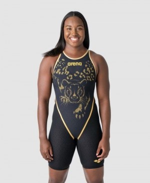 Dámské Plavky Arena Powerskin Carbon Glide Limited Edition Simone Manuel Closed Back Tmavě Šedé | 3964-ARCQF