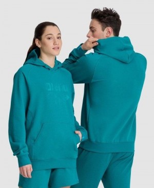 Dámské Svetry Arena Logo Hooded Sweatshirt Viacfarebný | 1852-VJPLX