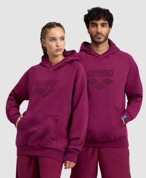 Dámské Svetry Arena Logo Hooded Sweatshirt Viacfarebný | 8254-PVKCQ