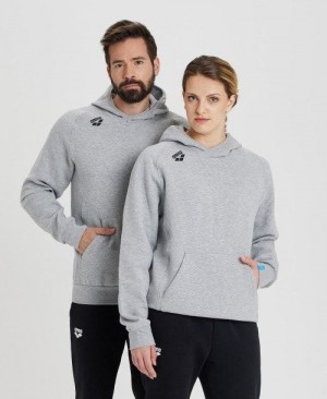 Dámské Svetry Arena Team Hooded Sweatshirt Panel Šedé | 0851-OZBKP