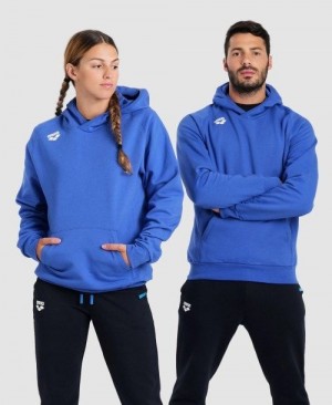 Dámské Svetry Arena Team Hooded Sweatshirt Panel Královská Modrá | 9682-QZYUO