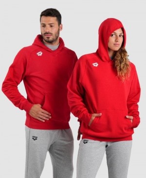 Dámské Svetry Arena Team Hooded Sweatshirt Panel Červené | 5213-FXAZE