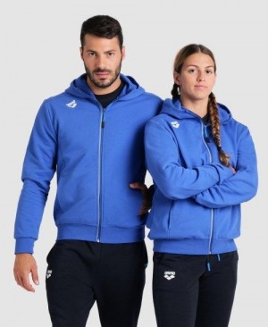 Pánské Bundy Arena Team Hooded Jacket Panel Královská Modrá | 6987-HULGM