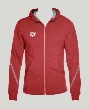 Pánské Bundy Arena Team Line Hooded Jacket Červené | 7635-UVOCZ