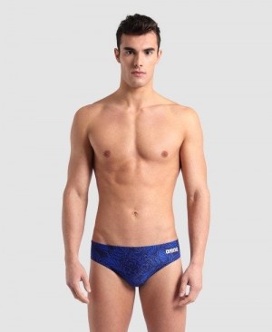 Pánské Kalhotky Arena Hydrange Bouquet Brief Viacfarebný | 7185-GDJTF