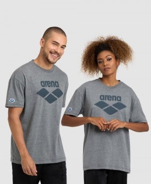Pánské Kraťasy Arena Icons T-shirt Tmavě Šedé | 7314-HCLKQ