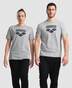 Pánské Kraťasy Arena Logo Cotton T-shirt Šedé | 2864-TKIPD