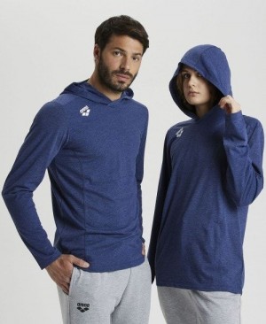 Pánské Kraťasy Arena Team Hooded T-shirt Panel Viacfarebný | 1290-XZVCB