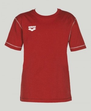 Pánské Kraťasy Arena Team Line Short Sleeve Tee Červené | 2487-SONTX