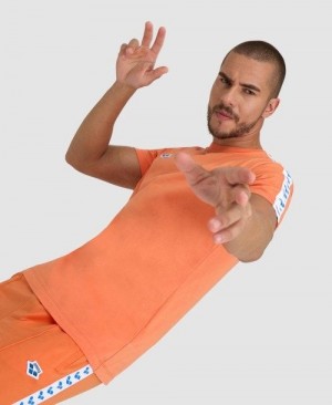 Pánské Kraťasy Arena Team Us T-shirt Bílé | 7342-SQITN
