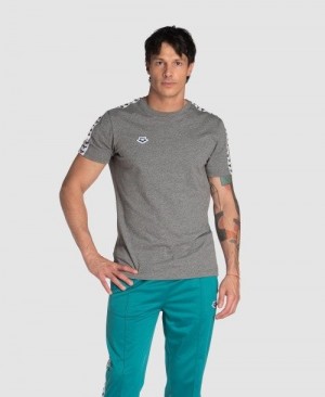 Pánské Kraťasy Arena Team Us T-shirt Tmavě Šedé Bílé | 0423-JBVKH