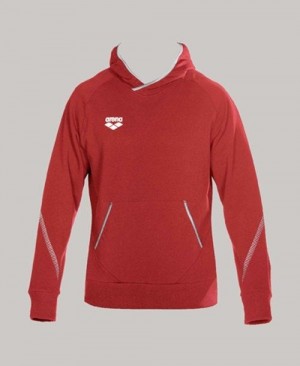 Pánské Mikina s Kapucí Arena Team Line Hoody Červené | 6894-NBZXR