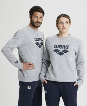 Pánské Pulovr Arena Logo Crewneck Šedé | 1254-GZDTE