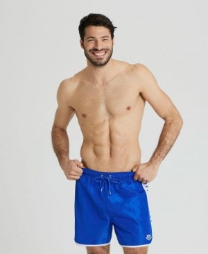 Pánské Spodní Prádlo Arena Icons Team Stripe Boxer Blankyt Bílé | 4861-LWNZD