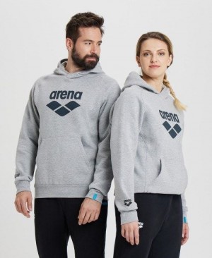 Pánské Svetry Arena Logo Hooded Sweatshirt Viacfarebný | 2768-ZQWUH