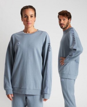 Pánské Svetry Arena Oversized Team Sweatshirt Šedé Šedé | 8253-OFXJW